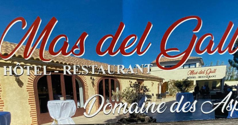 Hotel Restaurant Mas Del Gall Castelnou Zewnętrze zdjęcie